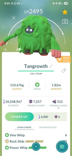 Pokemon tangrowth lucido 2020 - pokemon,